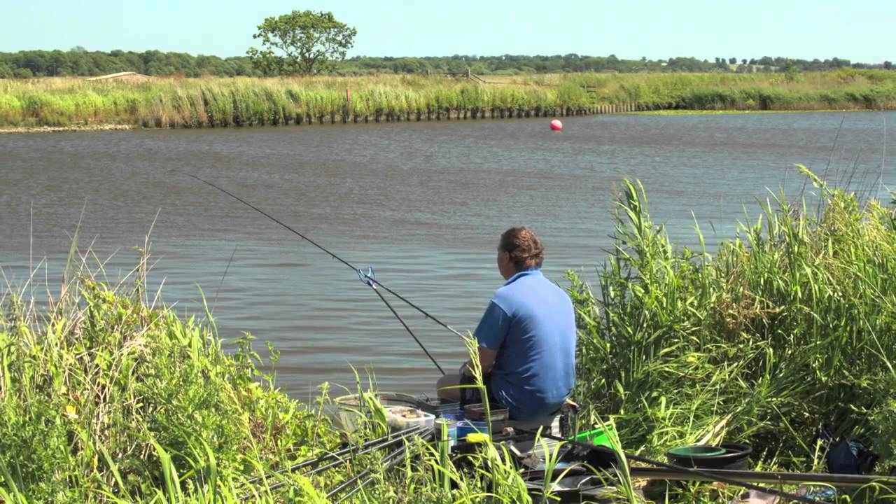 River Yare with Nick Larkin
