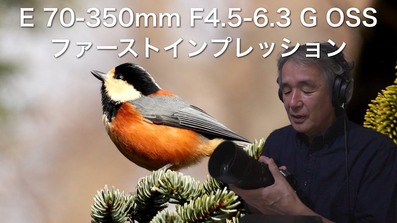 【野鳥撮影】E 70-350mm F4.5-6.3 G OSS ファーストインプレッション