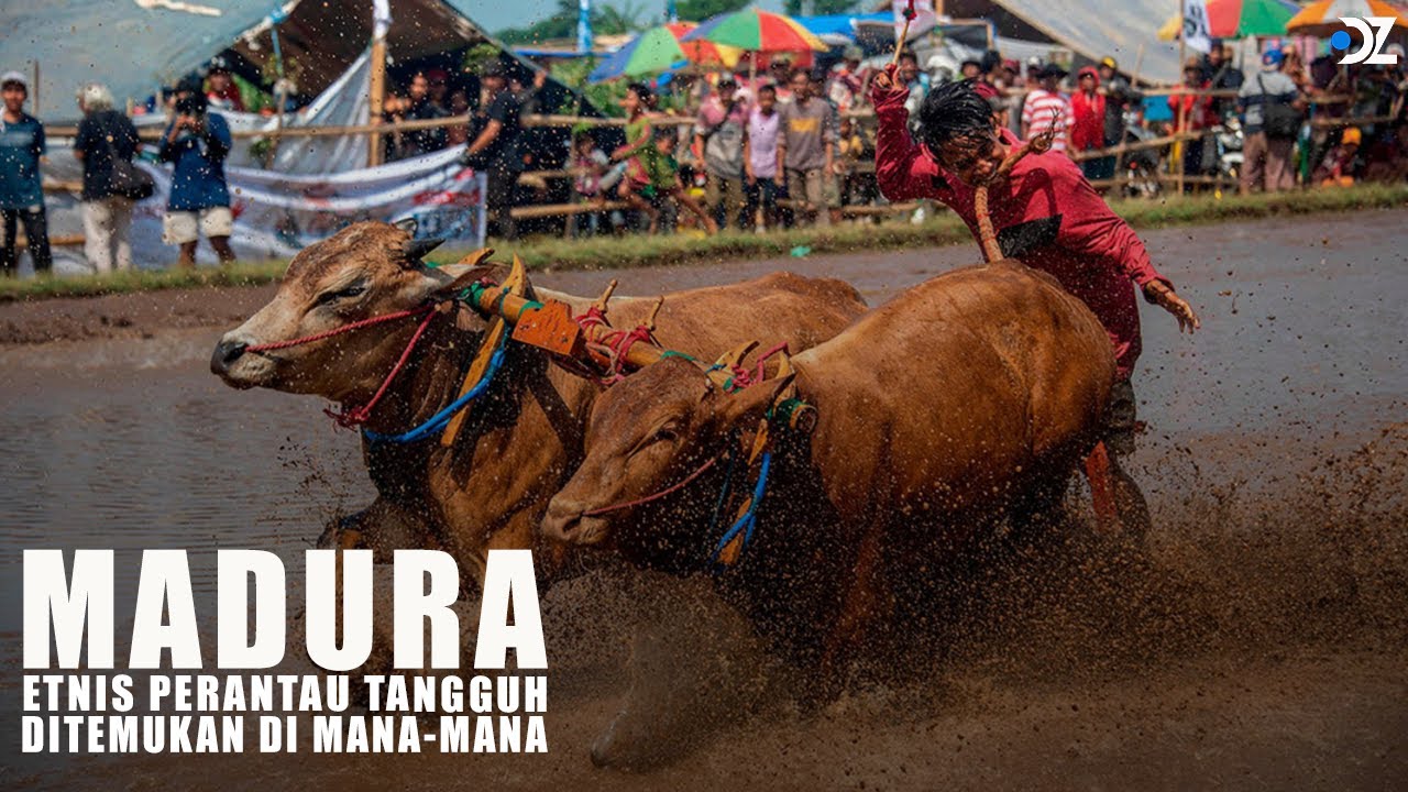 Madura: Etnis Perantau Tak Kenal Lelah, Ada di Mana-mana