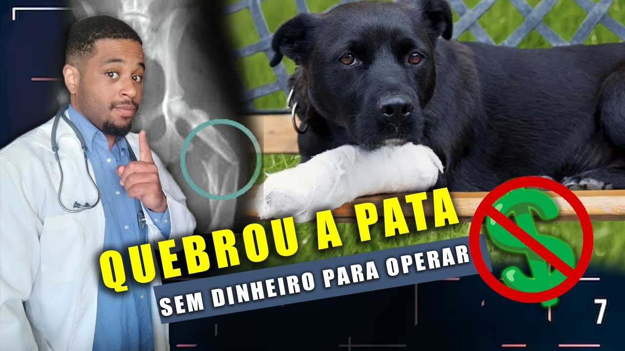 Meu CACHORRO QUEBROU a PATA ! Não tenho dinheiro.