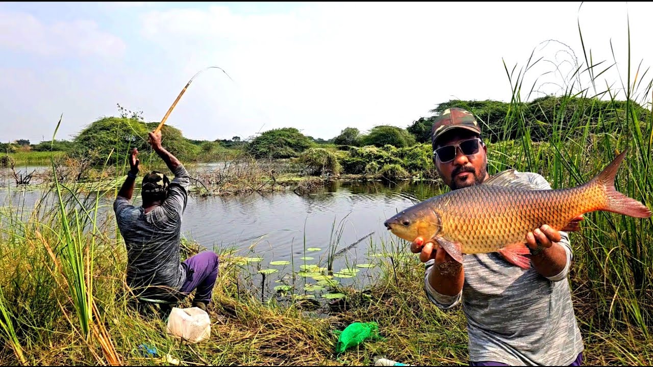 Amazing Fishing bait || Winter Season Fishing Bait || Catching Big Rohu Fish Video