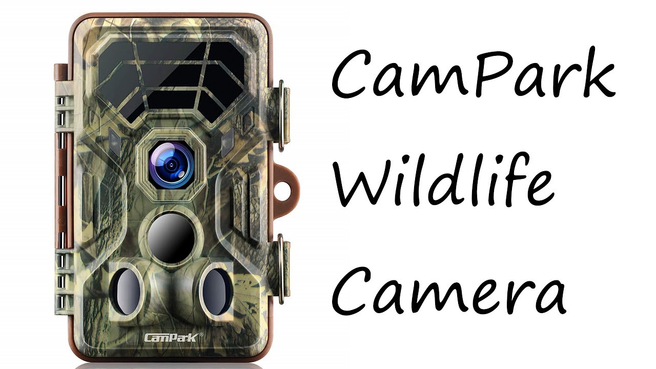 Campark T30 Wildlife Trail Camera Review