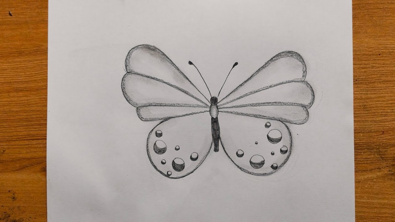 Learn how to draw a butterfly easily step by step drawing tutorial 