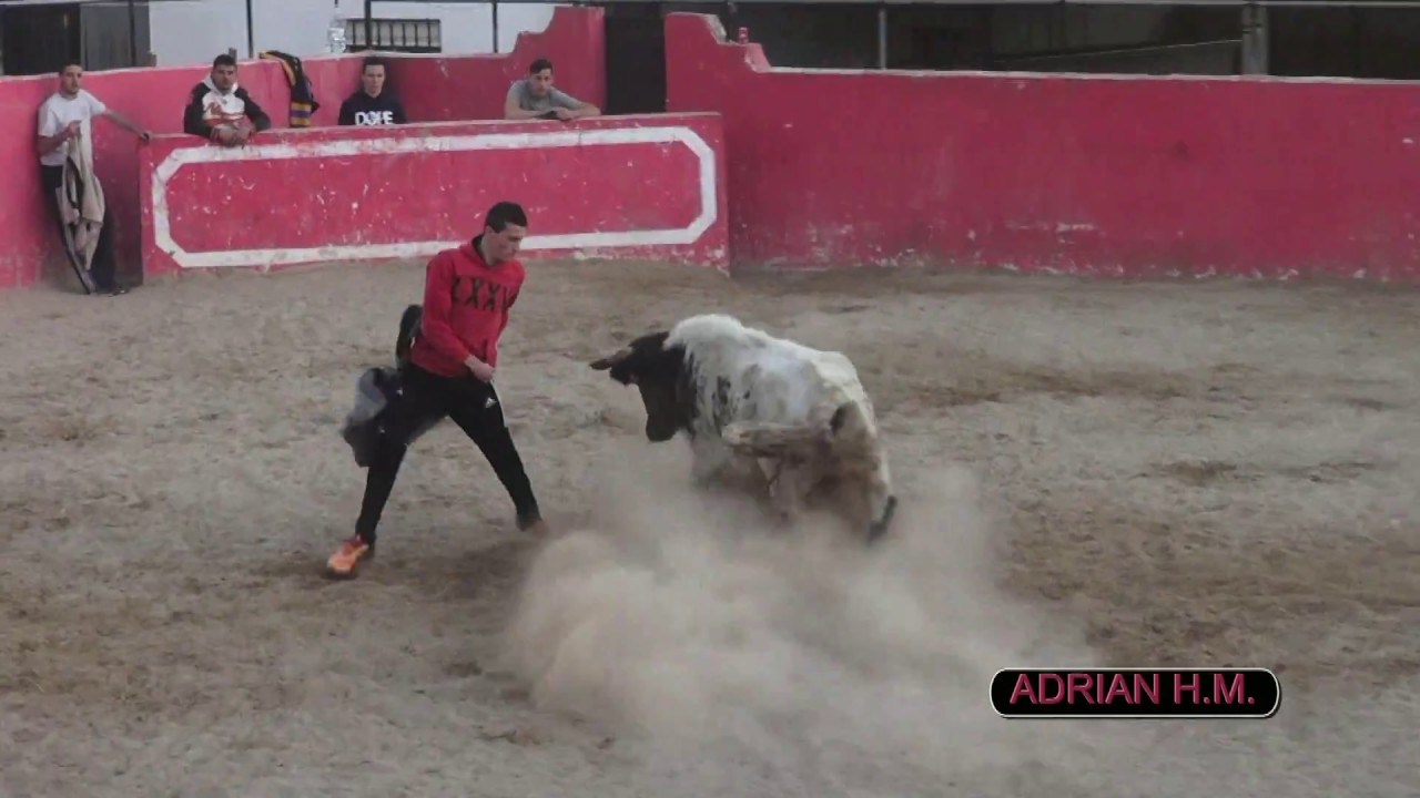 CAPEA CUMPLE GEMELOS 26-11-2017 GANADO DE ARMANDO BELTRÁN