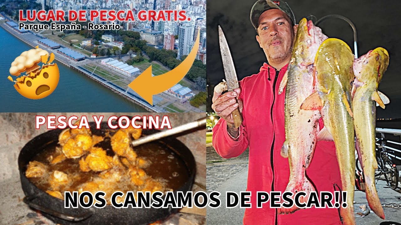 PESCA URBANA Y COCINA - As&iacute; es la PESCA en la ciudad de ROSARIO - #fyp #fishing #viralvideo #fy #a