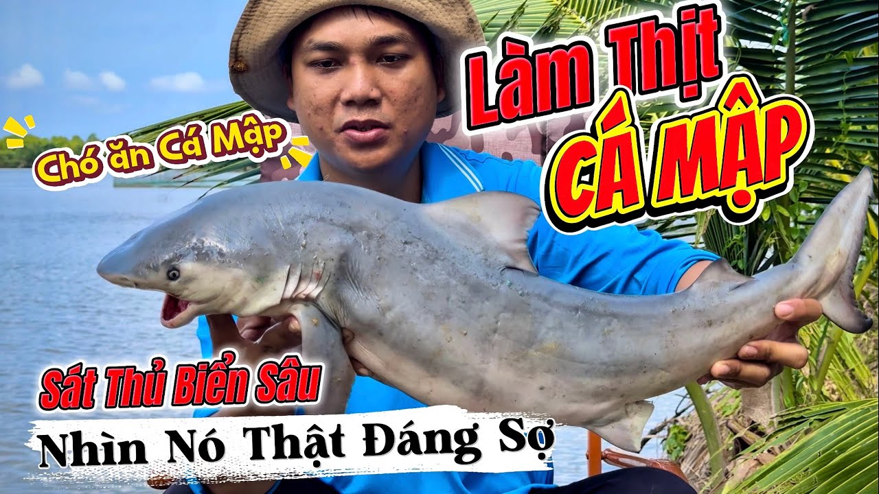 Lần Đầu Làm Thịt Cá Mập - Nhìn Rất Đáng Sợ Nhưng Thịt Ngon Vô Cùng