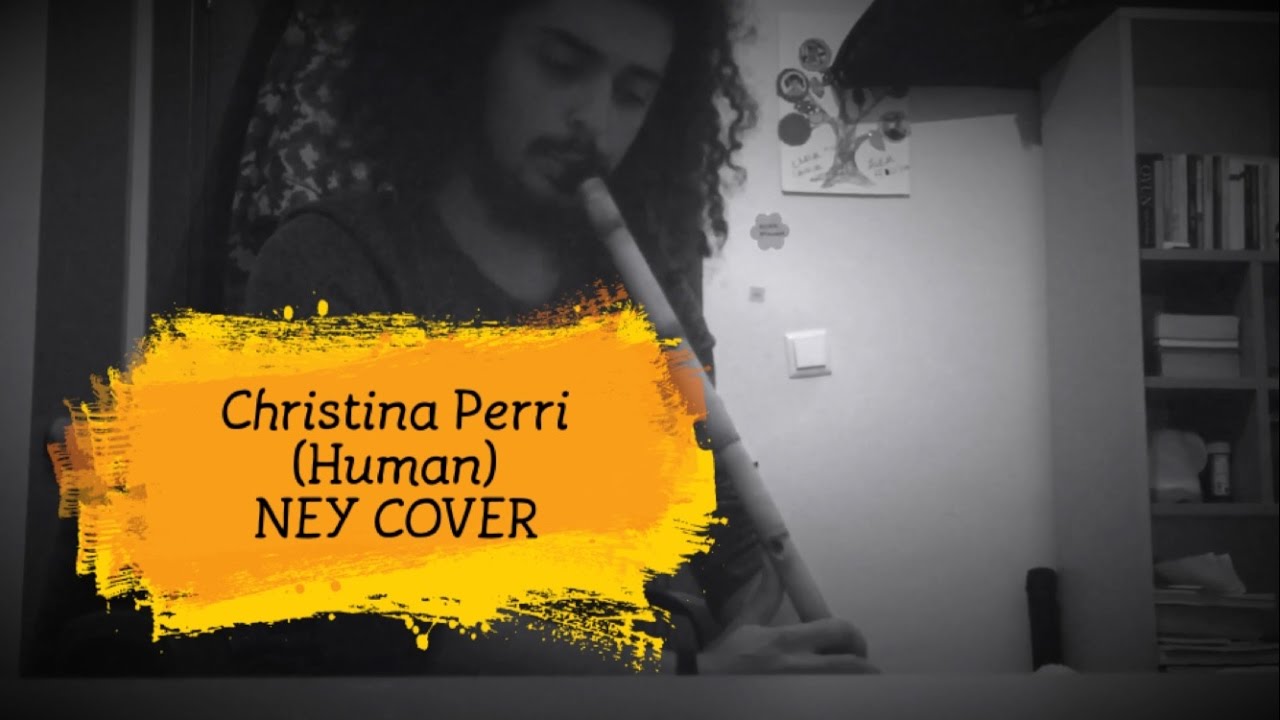 Christina Perri - Human (NEY COVER)