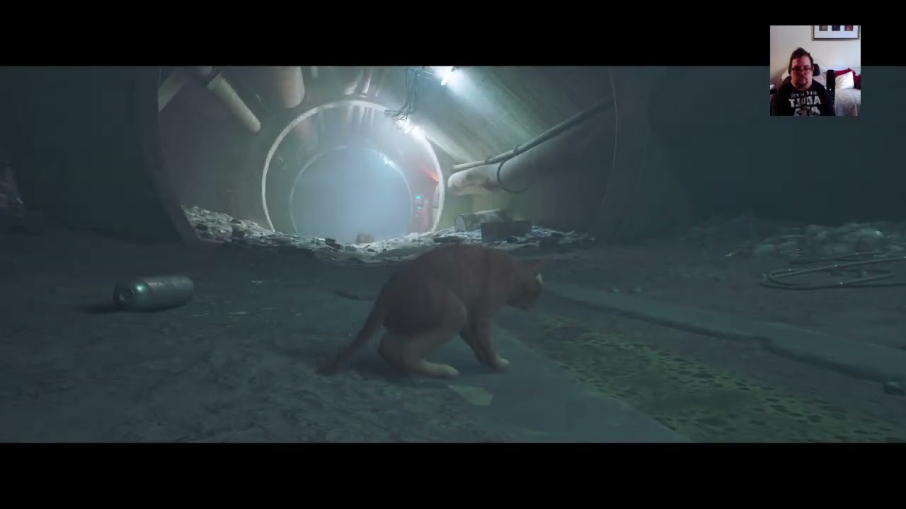 Celtsfan1988's Live Stray Stream #1