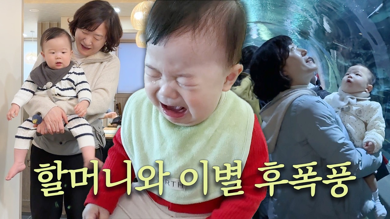 육아vlog l 2달만에 만난 할미할비와 일주일👵🏻👶🏻 9개월 놀이 모음 (매트시공 l 아쿠아리움 l 자기주도 이유식 l 숨바꼭질)