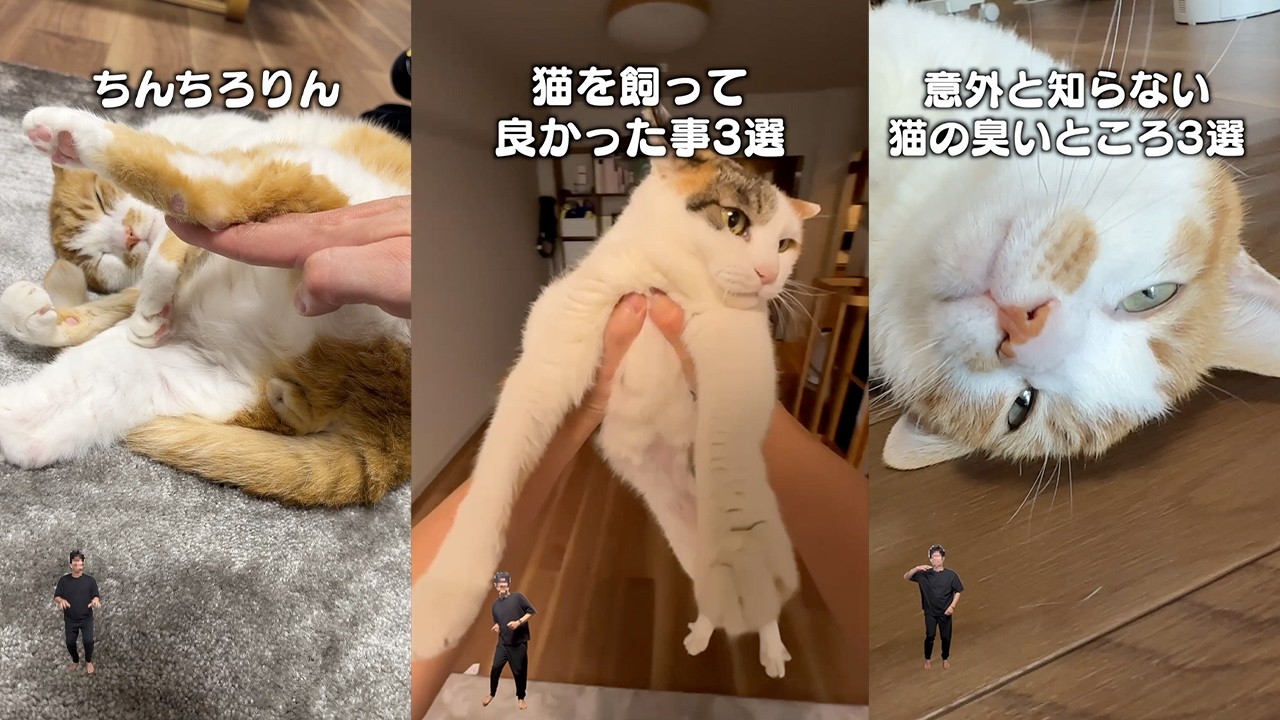 猫飼ってる人にしかワカラナイ６連発