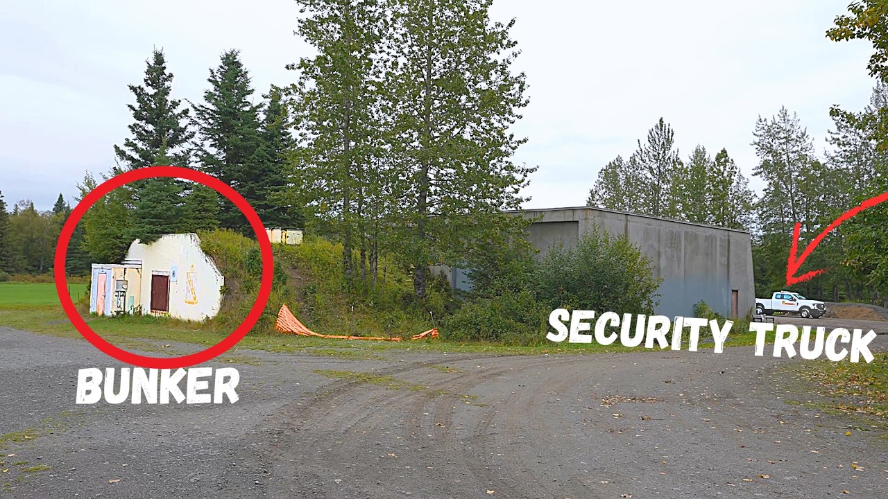 I Found Something Strange in the Alaska Woods&hellip; Then I Saw This