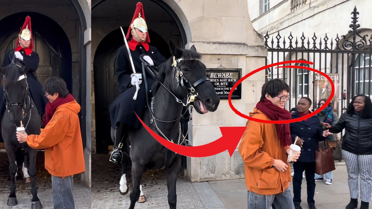 KING’S GUARD CHARGES HIS HORSE AT THIS STUPID TOURIST! 😡🤬