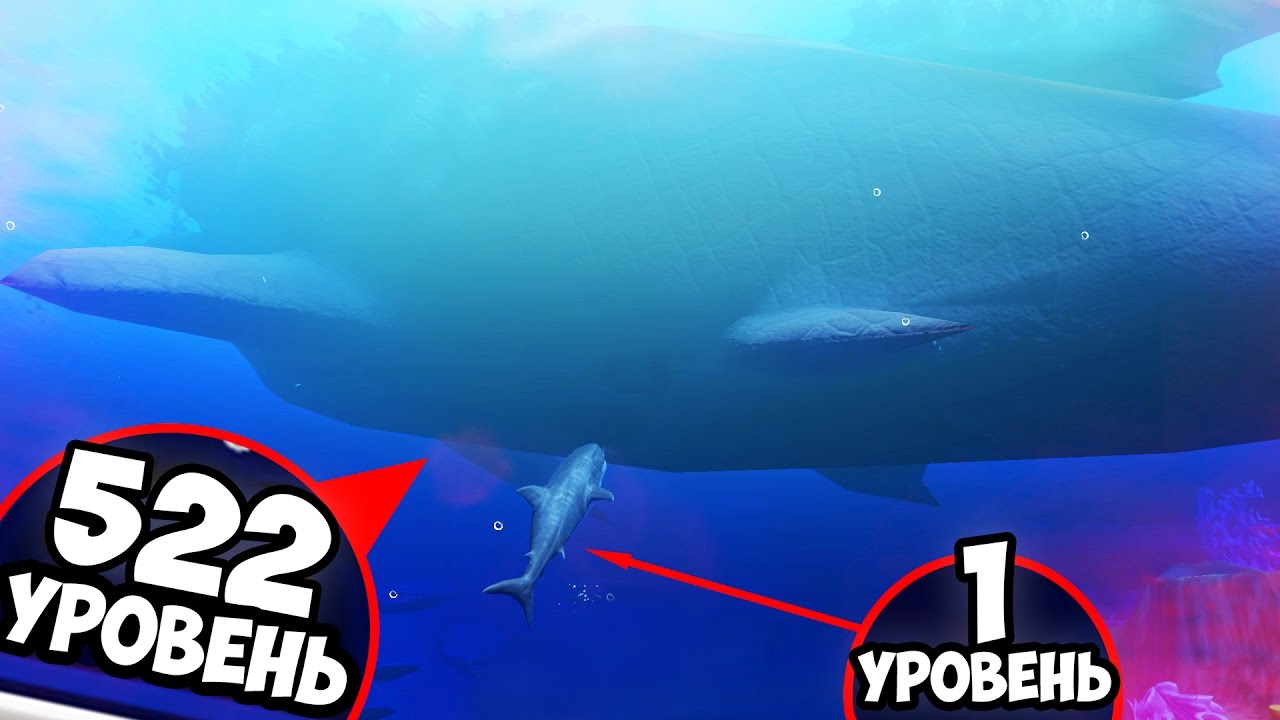 522 УРОВЕНЬ ДУНКЛЕОСТЕЯ! ОКЕАН СТАЛ ЛУЖЕЙ! МЕГАЛОДОН - МАЛЬКОМ! РЫБИЙ ЧЕЛЛЕНДЖ! FEED AND GROW FISH