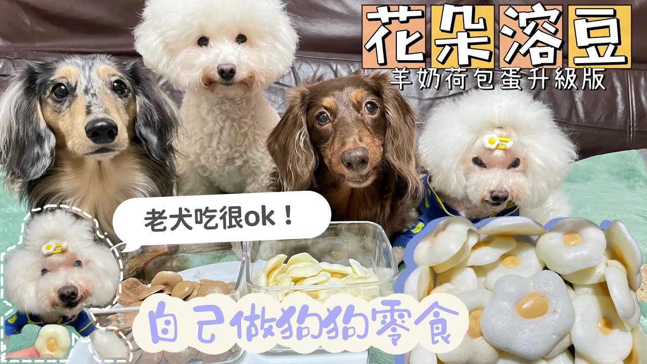 自己做狗狗零食［ep.6]花朵溶豆-羊奶荷包蛋升級版