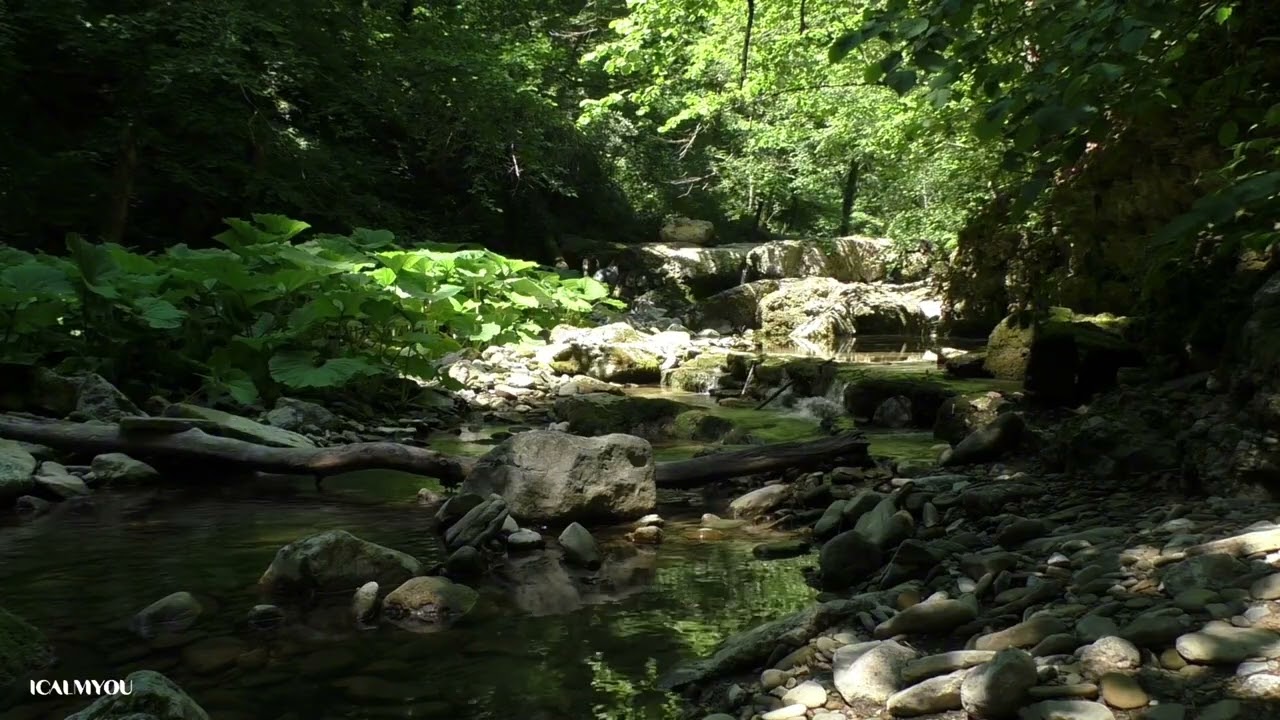 Slow motion footage of a hidden waterfall surrounded by lush green moss