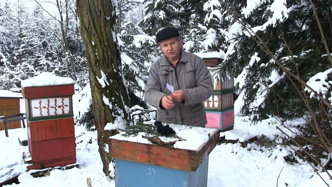 Ošetření včel na stanovišti v zimě 2021