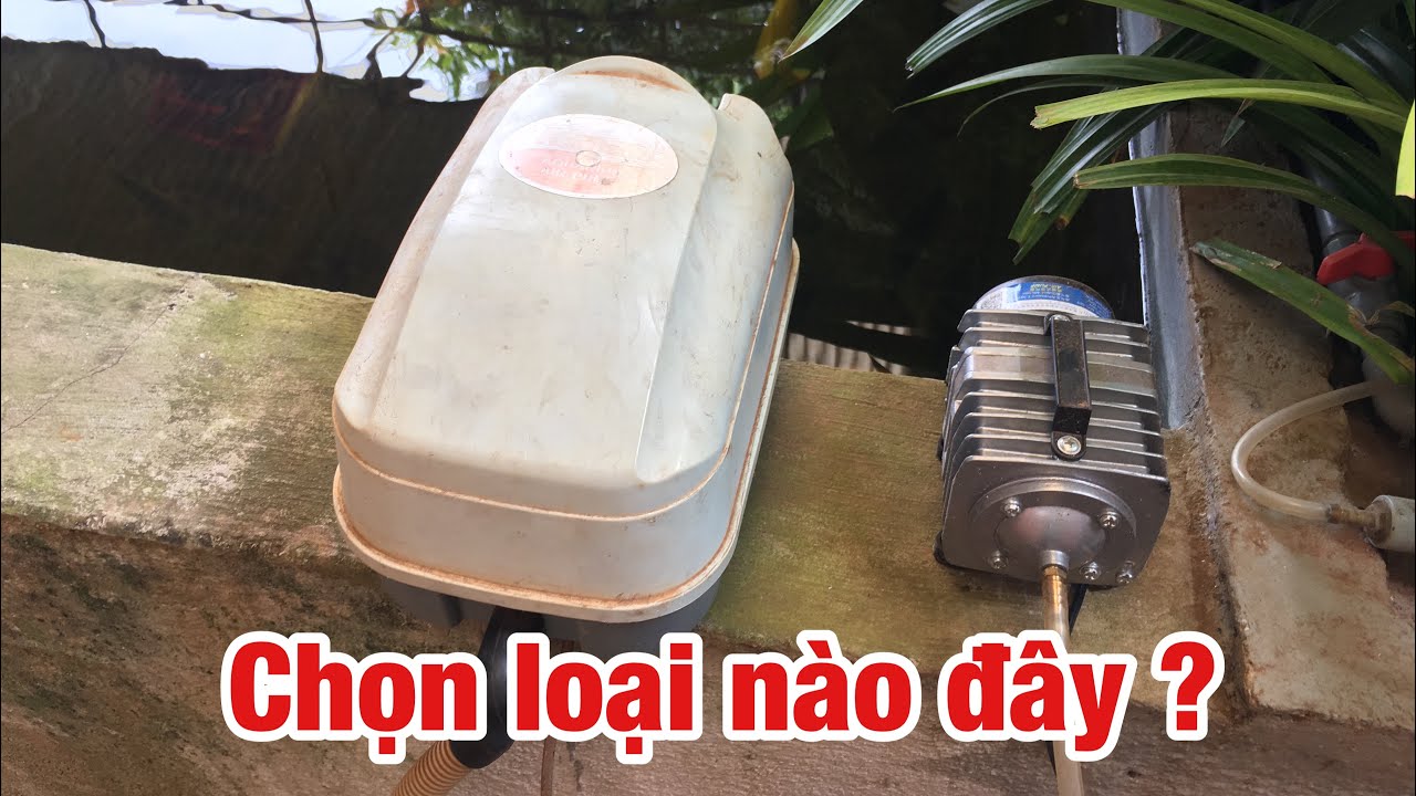 Chọn máy thổi oxy nào cho bơm airlift