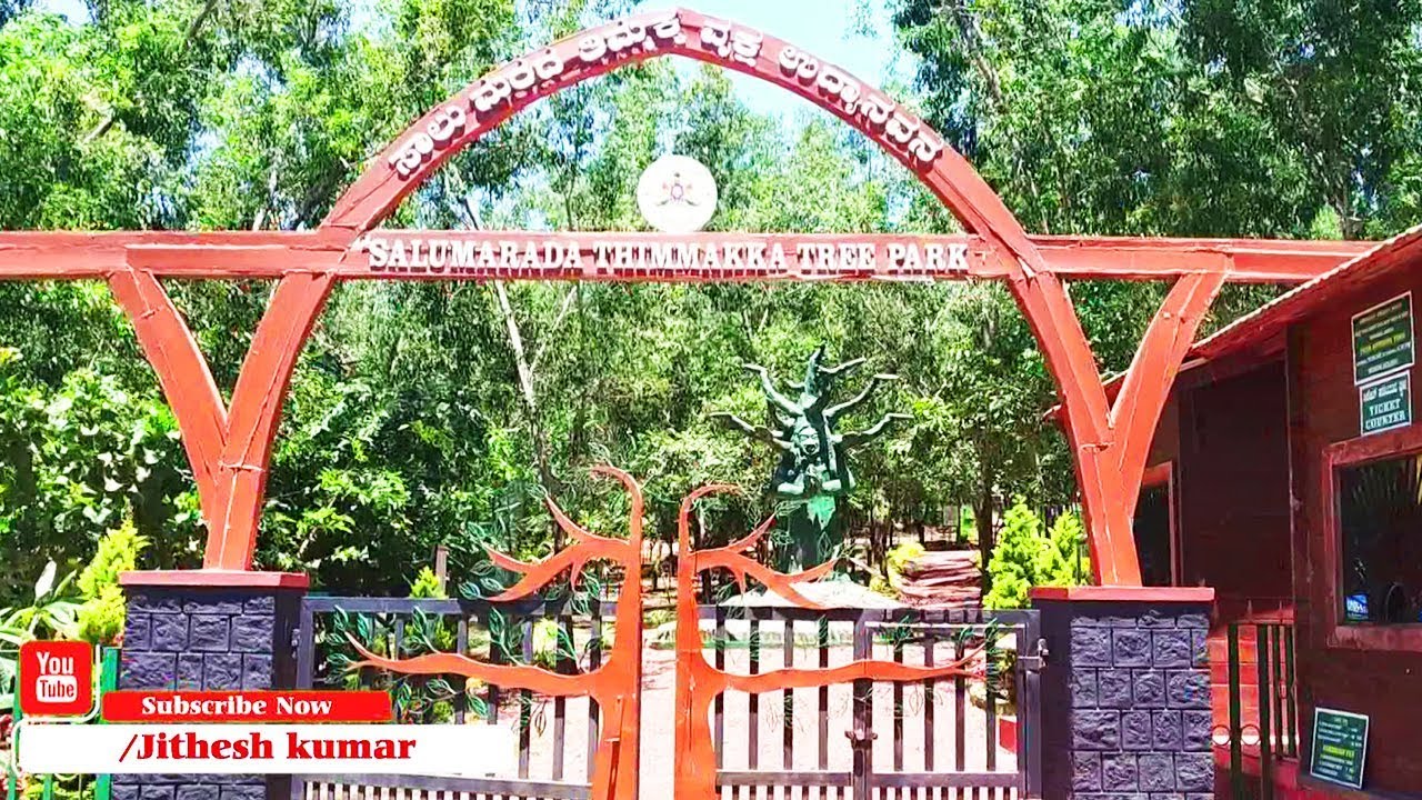 Manipal Tree Park | ಸಾಲು ಮರದ ತಿಮ್ಮಕ್ಕ ಉದ್ಯಾನವನ | Best place to Visit | TAPMI