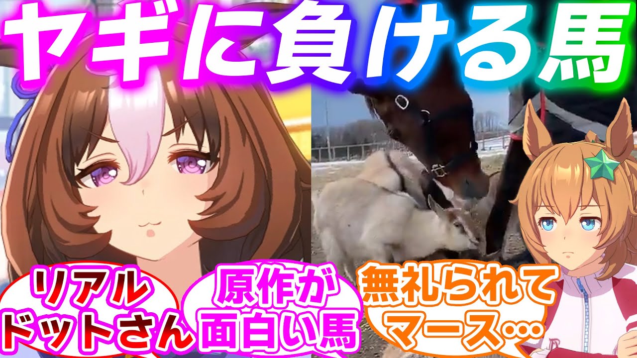 ヤギに無礼られる史実のメイショウドトウと恐れられるタイキシャトルに対するみんなの反応集【ウマ娘プリティーダービー】【ドトタイ】