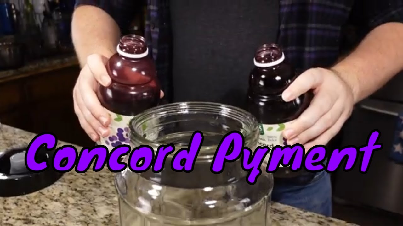 First Pyment!  Concord Grape Pyment Recipe
