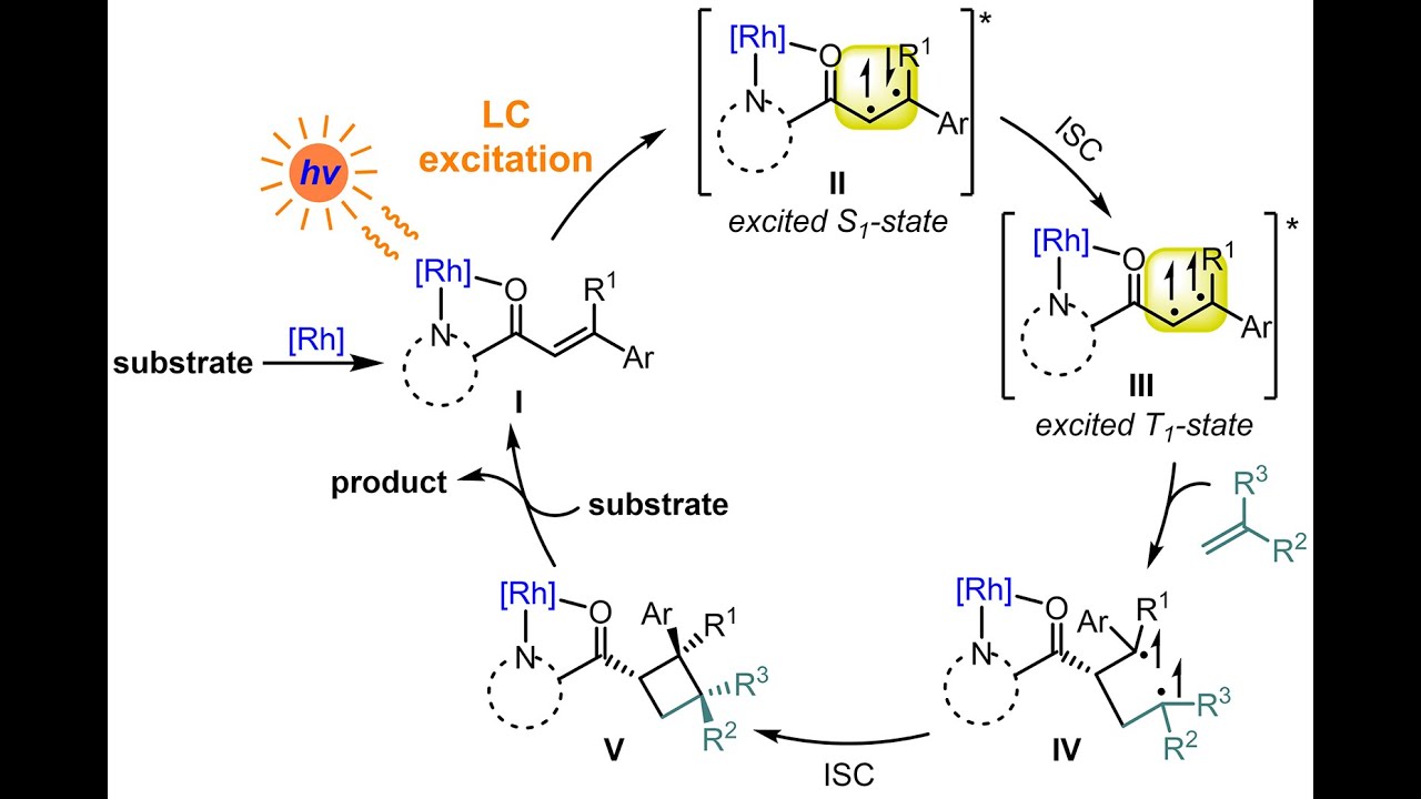 Eric Meggers: Chiral-at-Rh Catalysts for Asymmetric Photocycloadditions