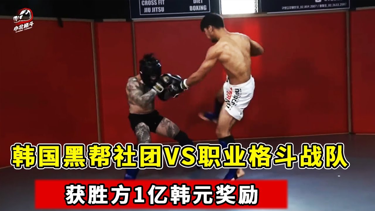 韩国黑帮社团VS职业格斗战队，哪个更强？获胜方1亿韩元奖励【小北格斗】