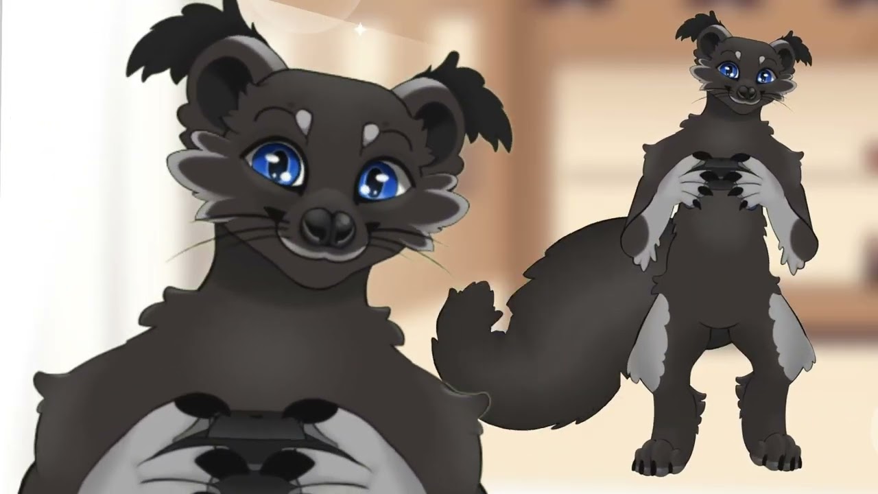 Binturong Showcase - For Basil Buttons - Live2D Model