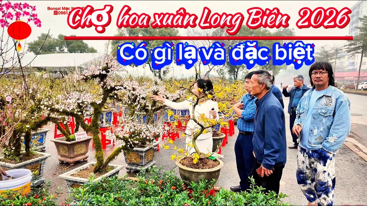 Chợ hoa Xuân Long Biên năm nay có gì đặc biệt ?