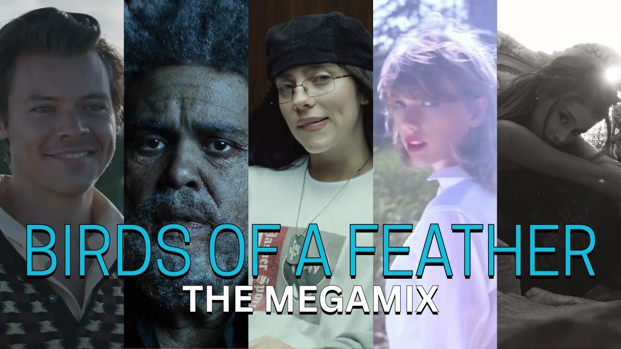 Birds Of A Feather: The Megamix | Billie Eilish, Harry, Miley, Taylor, Halsey, Ariana & More Mashup!