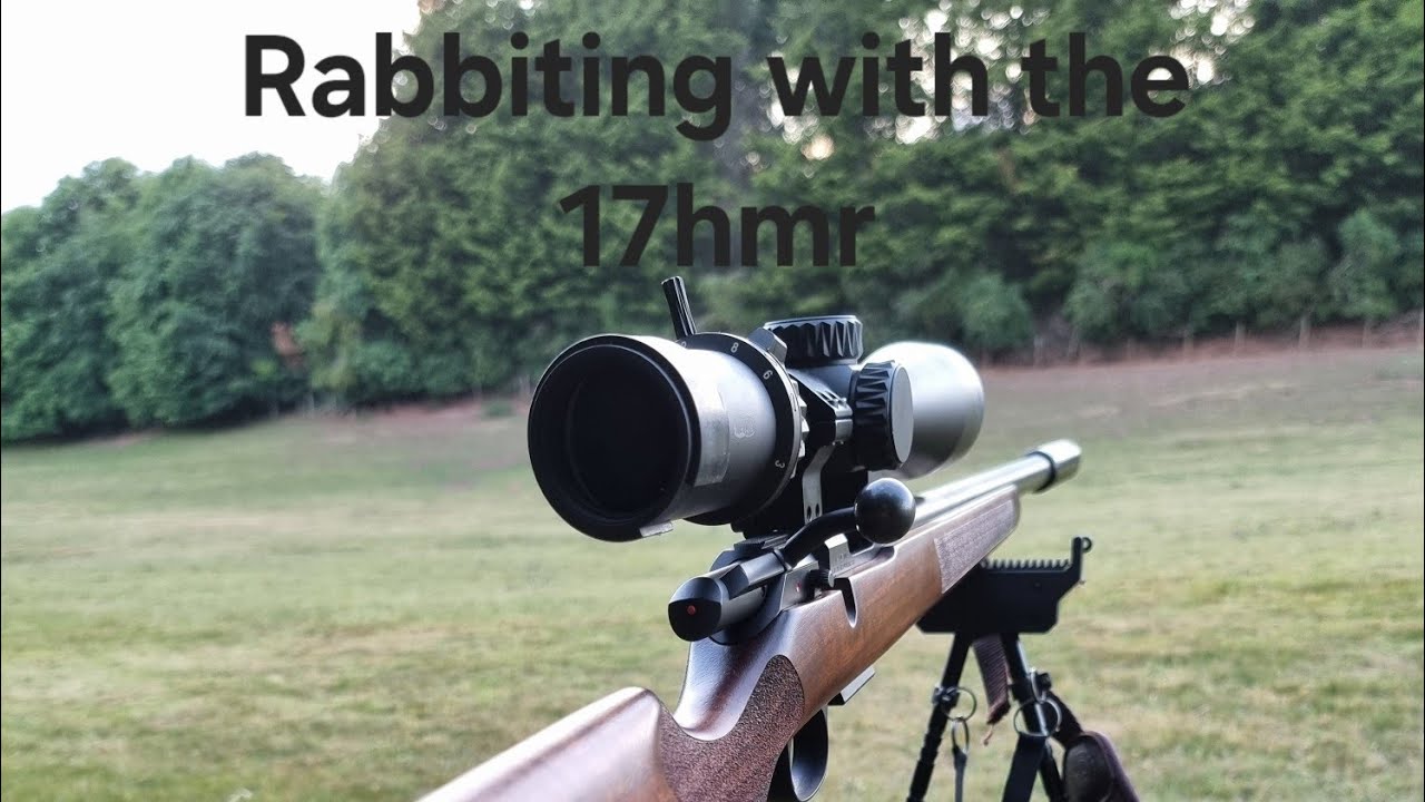 Rabbit Hunting with CZ457 17hmr