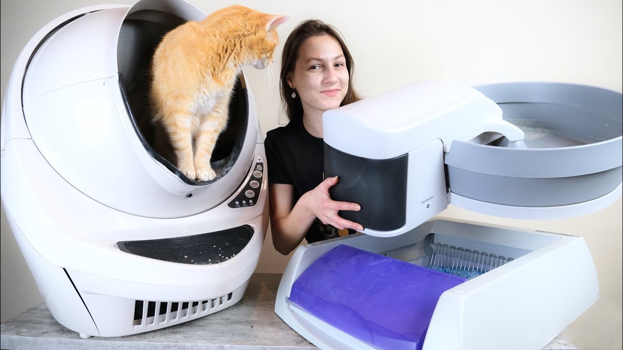 5 Best Automatic Self-Cleaning Litter Boxes (We Tested Them All)