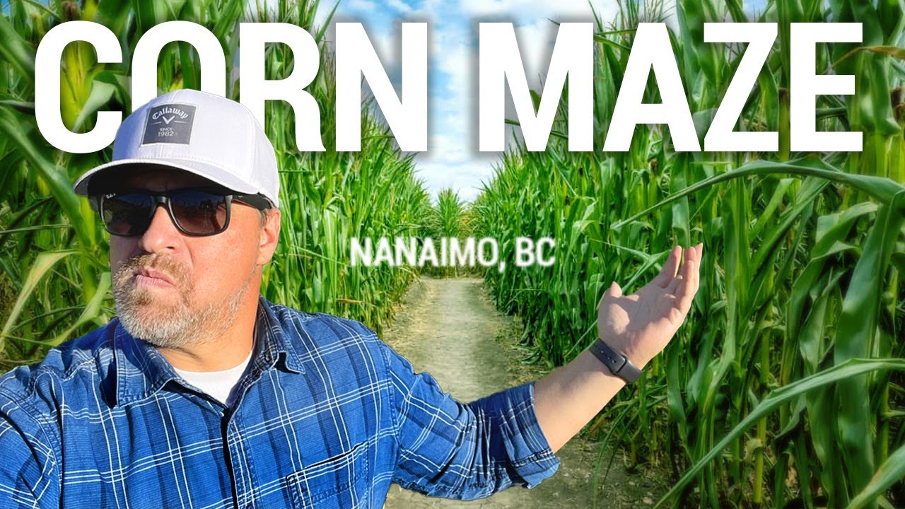 McNab's Corn Maze & Pumpkin Patch | Top Activities Nanaimo BC