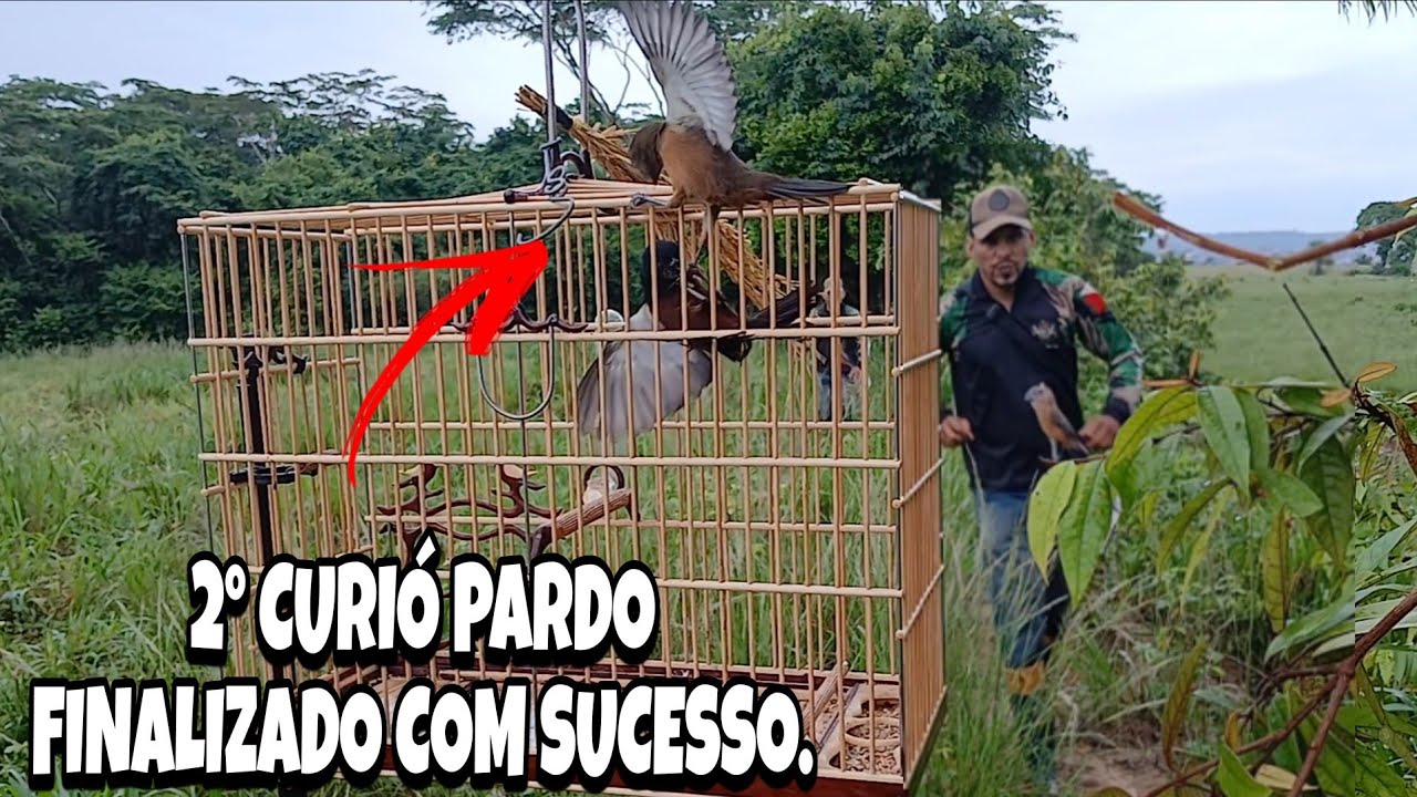 CURIÓ PARAZÃO PEGANDO O 2° PARDO DA TEMPORADA 2026 - AGORA É OFICIAL, COMEÇOU APARECER OS PARDO.