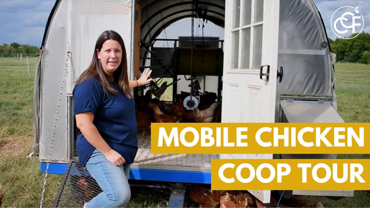 Mobile Chicken Coop Tour | Crossing Creeks Farm