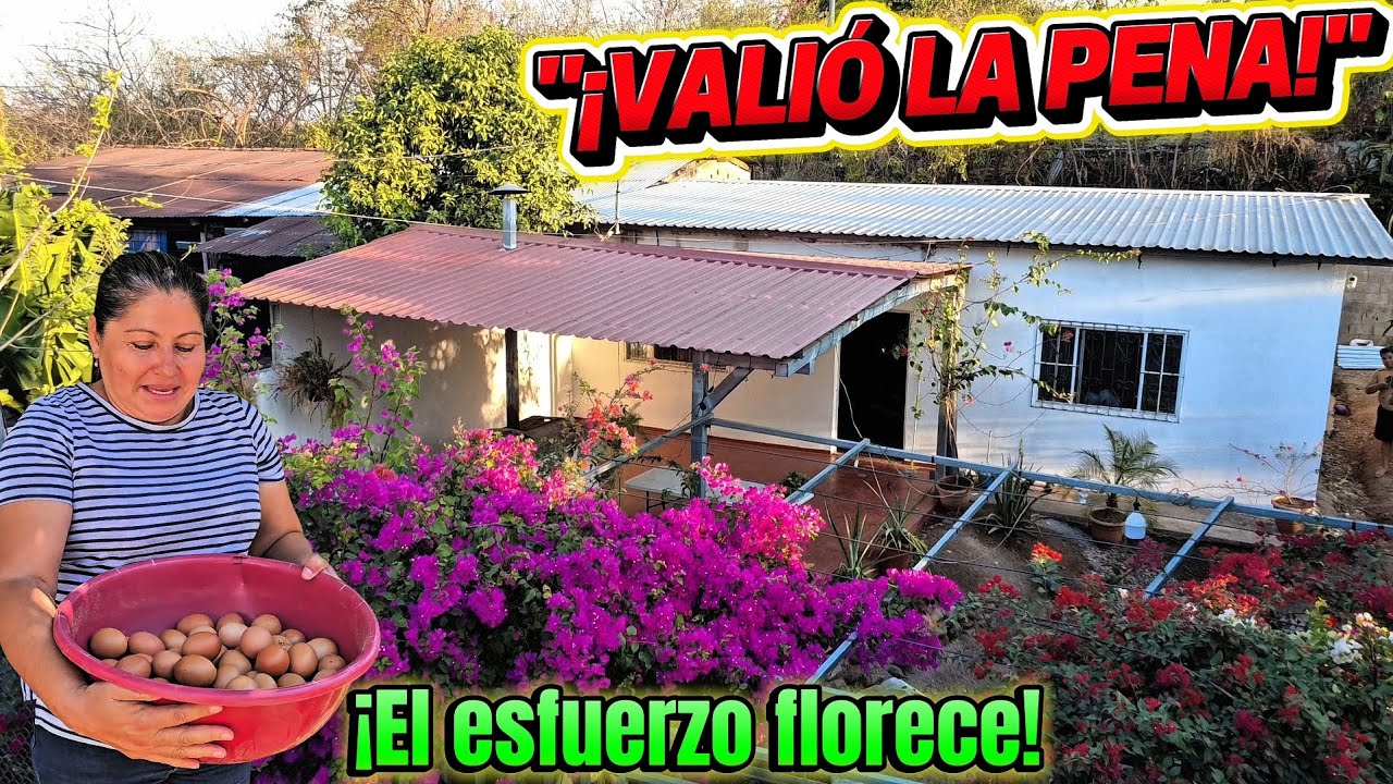 ​¡VALIÓ LA PENA! Mi casa terminada y la bendición de mi cosecha en el campo🇸🇻