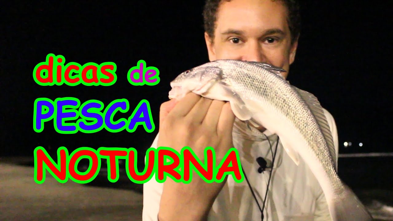 PESCAR À NOITE VALE A PENA?? - Dicas de pesca NOTURNA