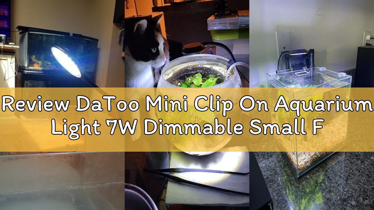 Review DaToo Mini Clip On Aquarium Light 7W Dimmable Small Fish Tank Light USB Moving Lamp with Whit