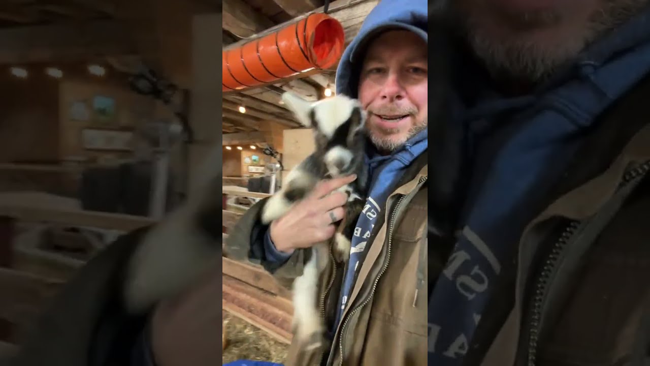 Steinmetz Family Farm is live!