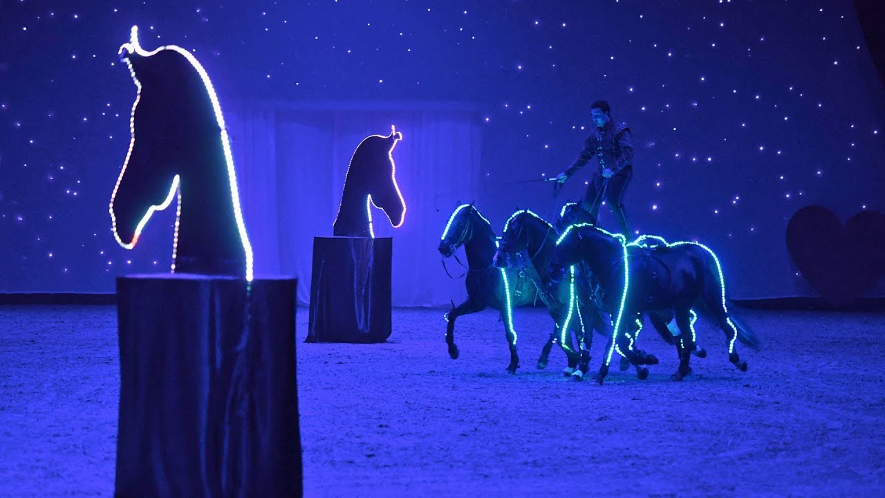 HansePferd Hamburg 2018: GalaShow 