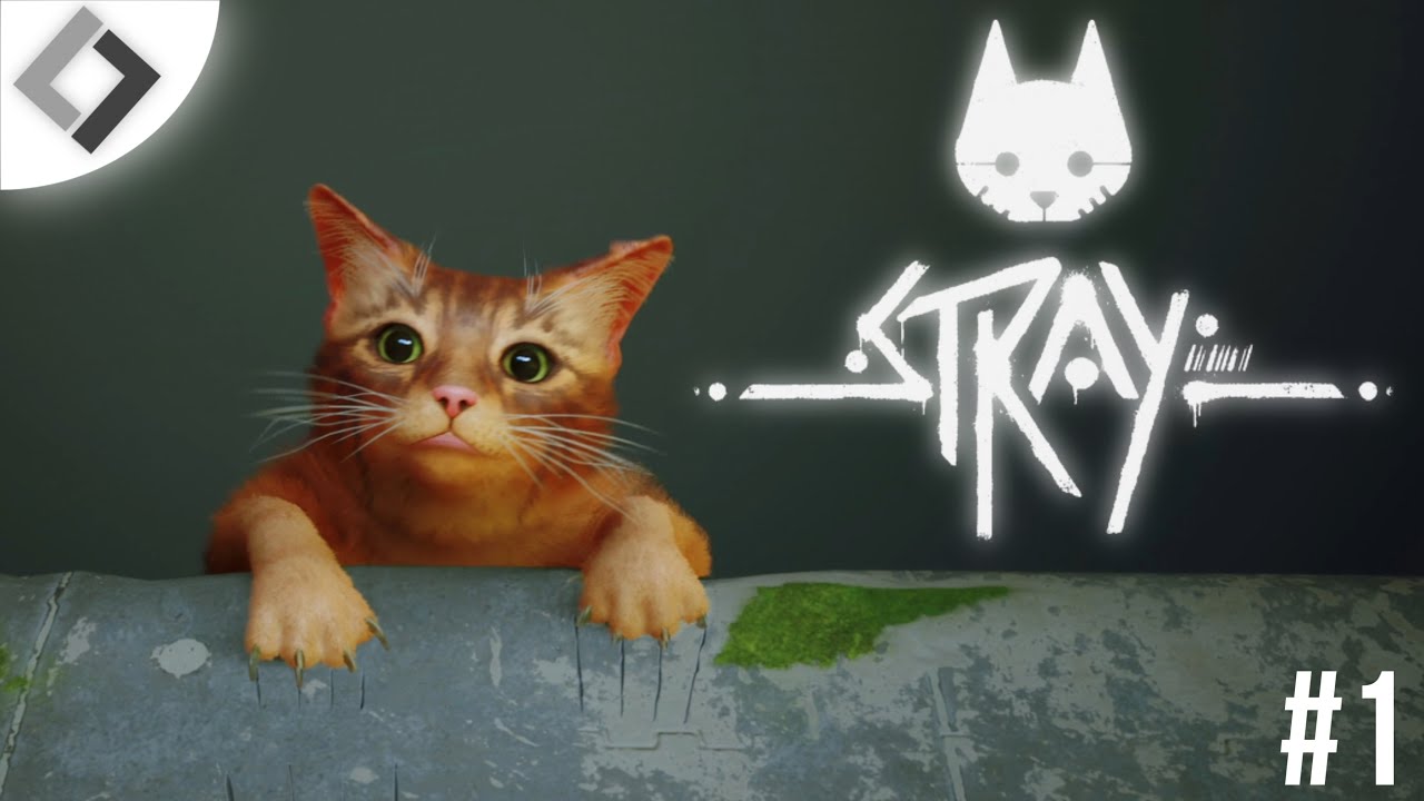 STRAY - УВЛЕКАТЕЛЬНОЕ ЗНАКОМСТВО С МИРОМ И ЧЕТЫРЬМЯ КОТАМИ!!! СЕРИЯ 1