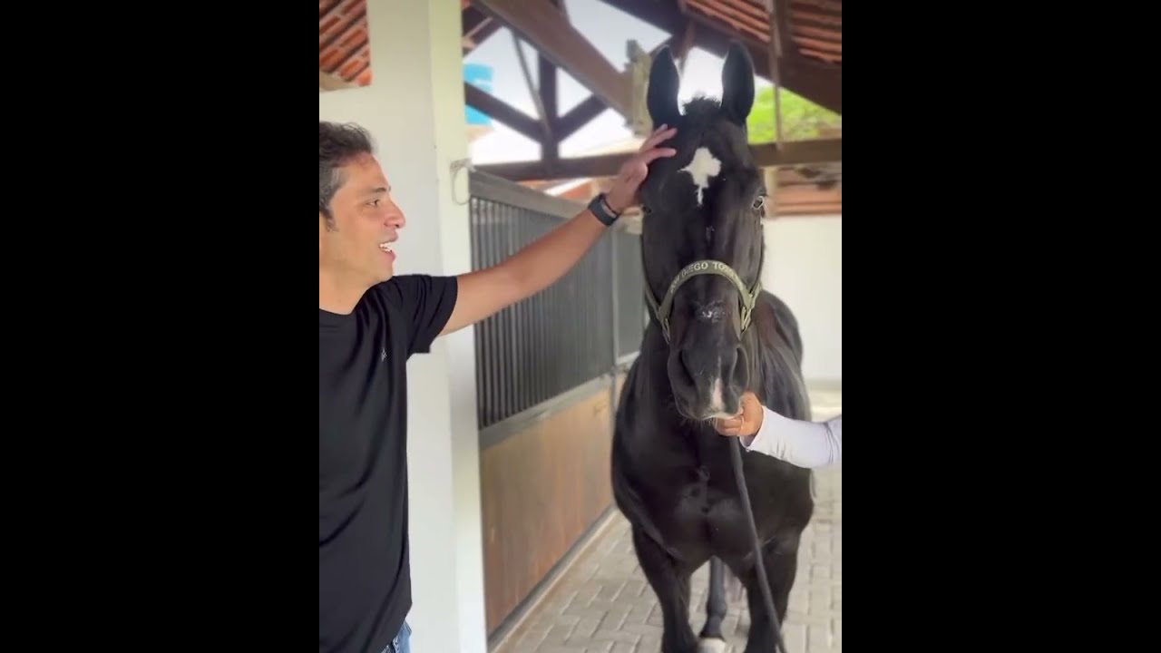 CONHEÇA GANHÃO HARAS POÇO DAS PEDRAS DON DIEGO TORO