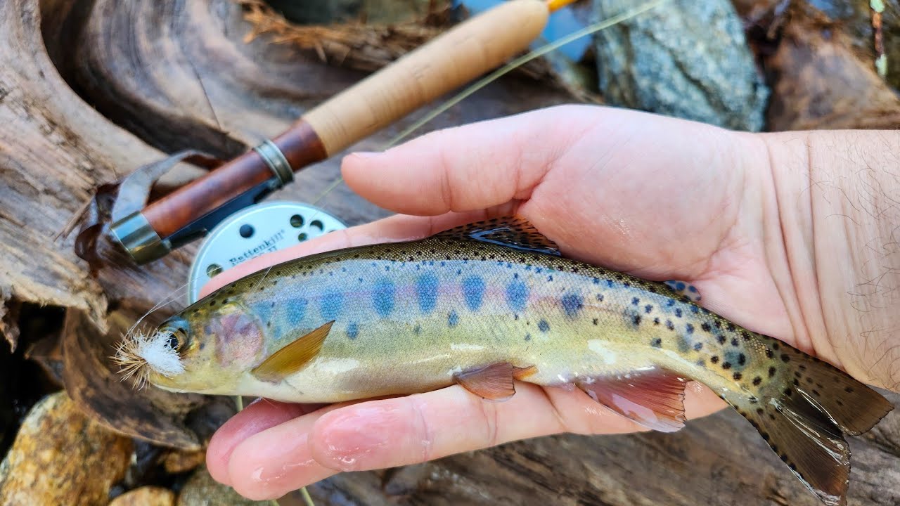 SC Fly Fishing - Jan 25