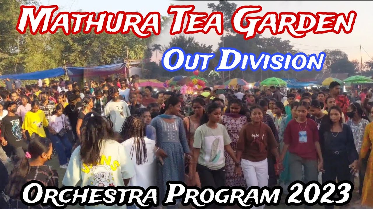 Nagpuri Orchestra Program | Mathura Tea Garden | Out Division 2023 | @abhinasibkujur