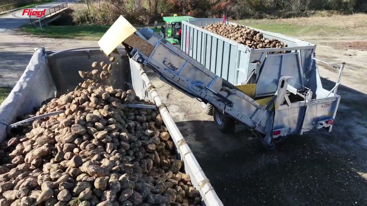 Fliegl Ruby cukorrépa adapter akcióban!