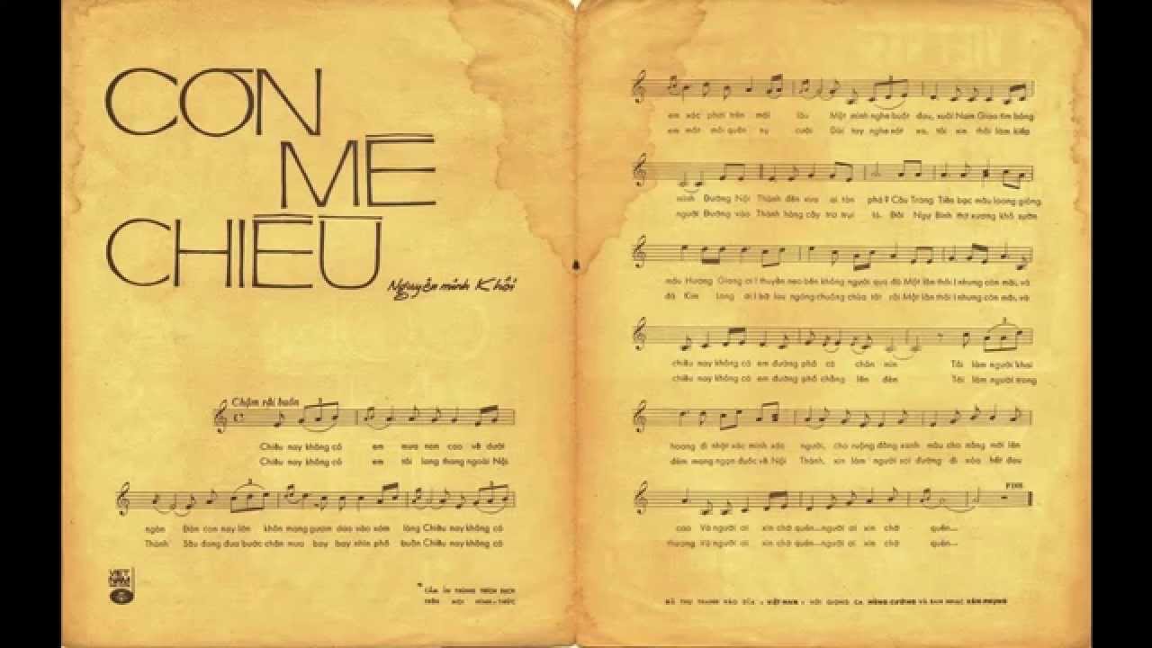Cơn Mê Chiều (Việt Dzũng)