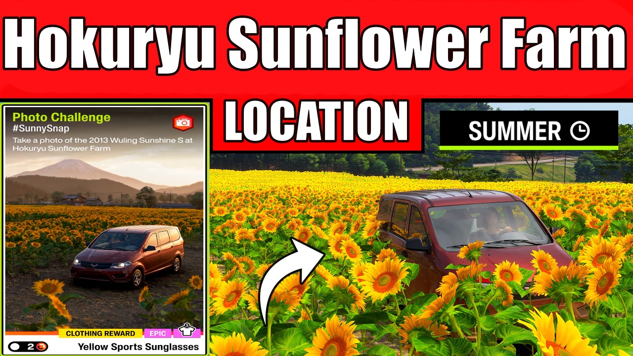 Forza Horizon 6 Photo Challenge #SunnySnap - Hokuryu Sunflower Farm Photo Location (Summer Season)