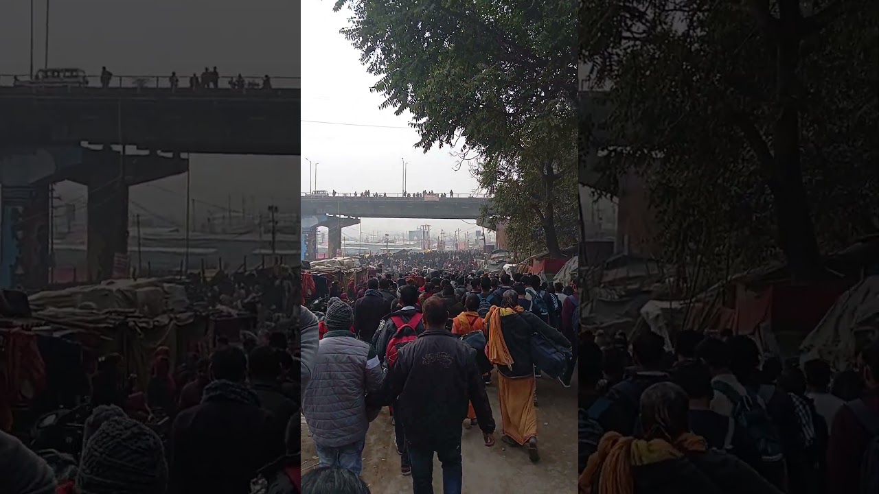 Mahakumbh 2025 Crowd (भीड़) शाही स्नान.. Shahi Snan#mahakumbh2025 #kumbh #mela #shorts #prayagraj