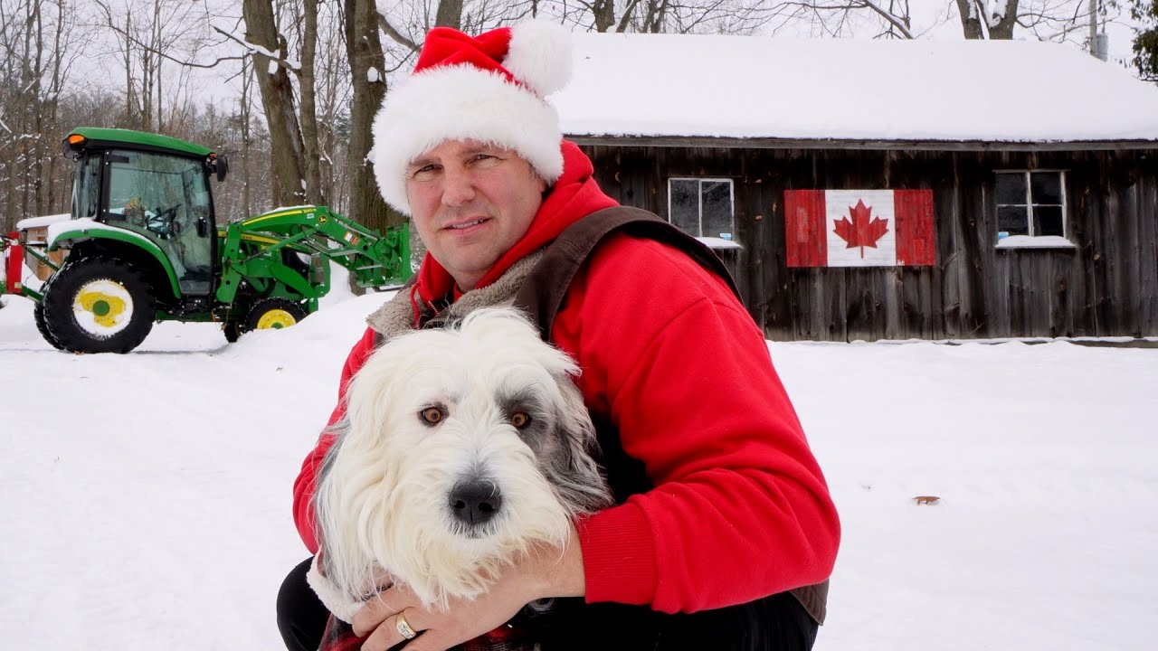 Christmas Day with the Animals on our Small Farm