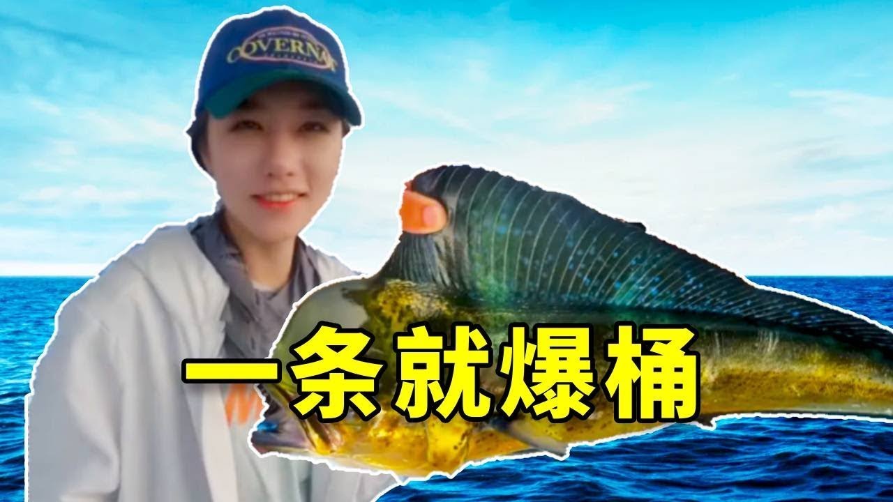海钓稀有鱼泛滥？都是大鱼、1条就能爆桶？带女友花10000包船出海一探究竟！ #大豪夫妇 #钓鱼 #fishing