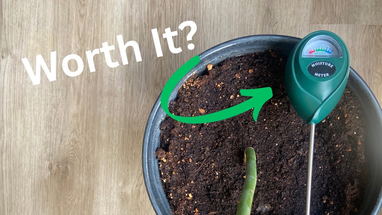 Review - XLUX Soil Moisture Meter, Plant Water Monitor, Hygrometer Sensor for Gardening